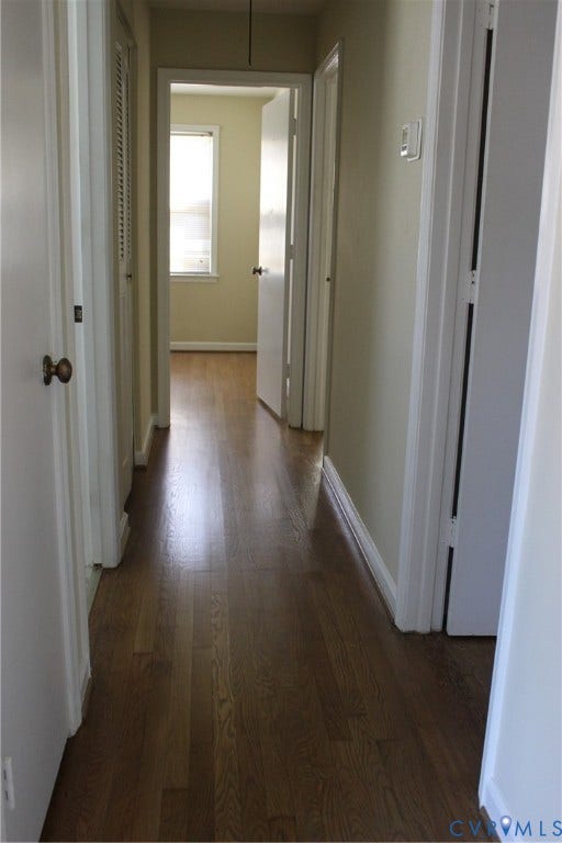 905 Williamsburg Road, Colonial Heights, VA 23834 Hallway featuring wood-finish flooring, white door casings, and paneled doors