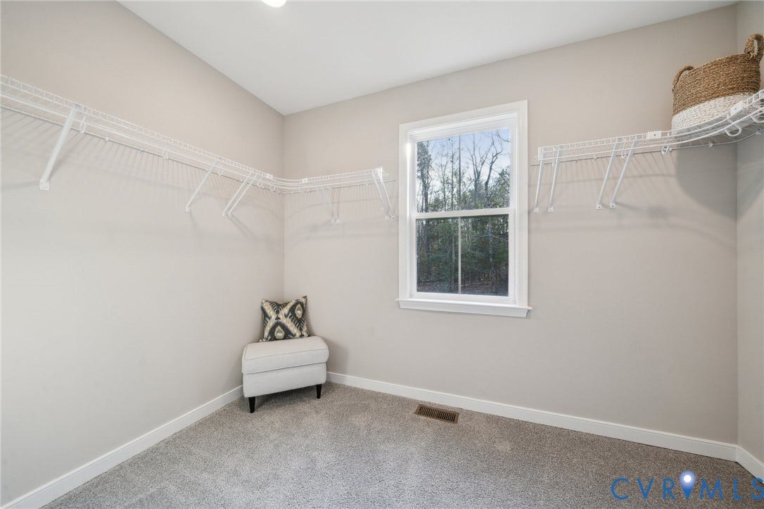 Walk-in closet featuring neutral wall paint, carpeting, a single-hung window, and wall-mounted wire shelving