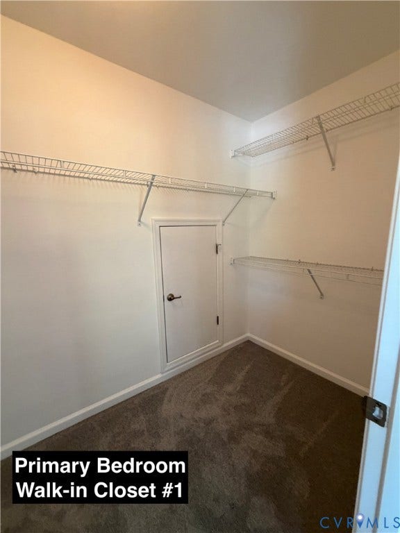 Walk-in storage space featuring neutral carpeting and multi-level wire shelving units