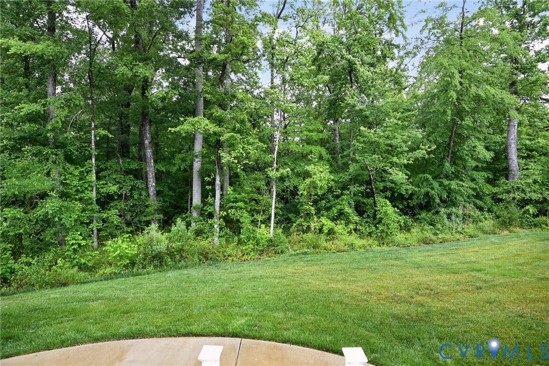 Glen Allen, VA 23059 Concrete patio overlooking a manicured lawn and a dense border of mature trees