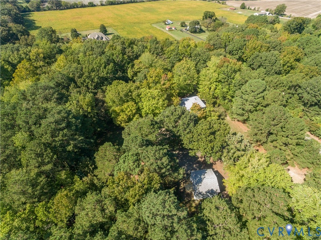 9045 Blounts Corner Road, Smithfield, VA 23430 Aerial perspective featuring a heavily wooded lot, asphalt driveway, and expansive open fields