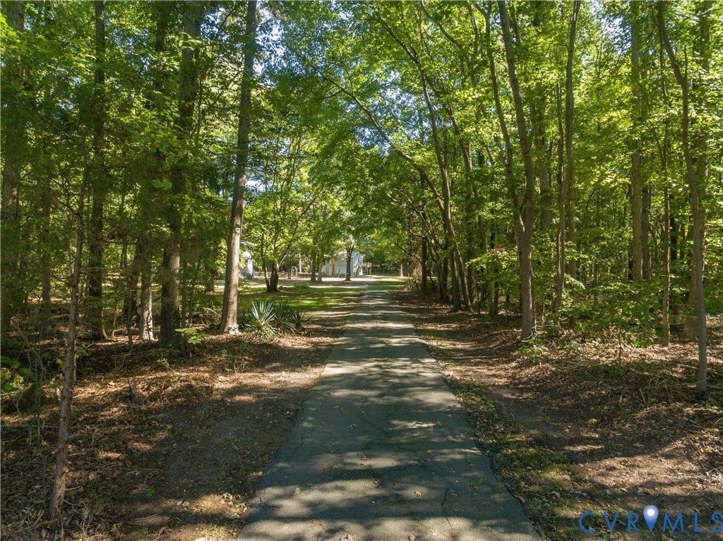 9045 Blounts Corner Road, Smithfield, VA 23430 Concrete driveway approach lined with mature hardwood trees and native vegetation