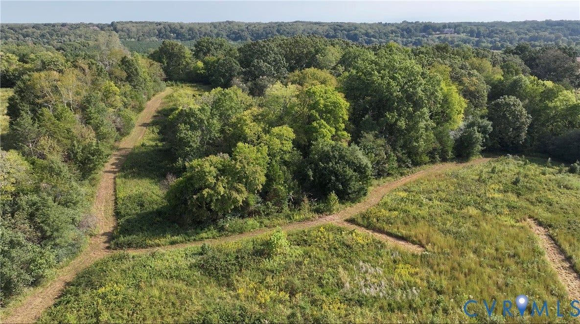 0 Old River Trail, Powhatan, VA 23139 Expansive acreage featuring mature trees, diverse natural vegetation, and integrated dirt trails