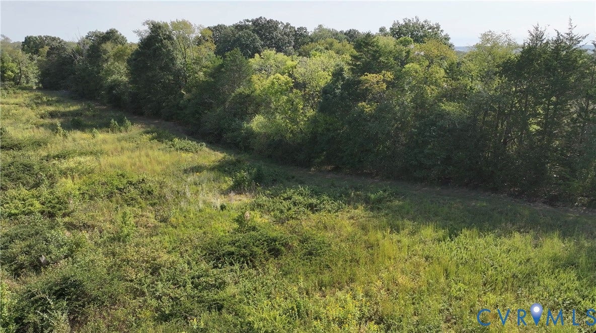 0 Old River Trail, Powhatan, VA 23139 Expansive lot featuring mature trees, native vegetation, and diverse natural topography