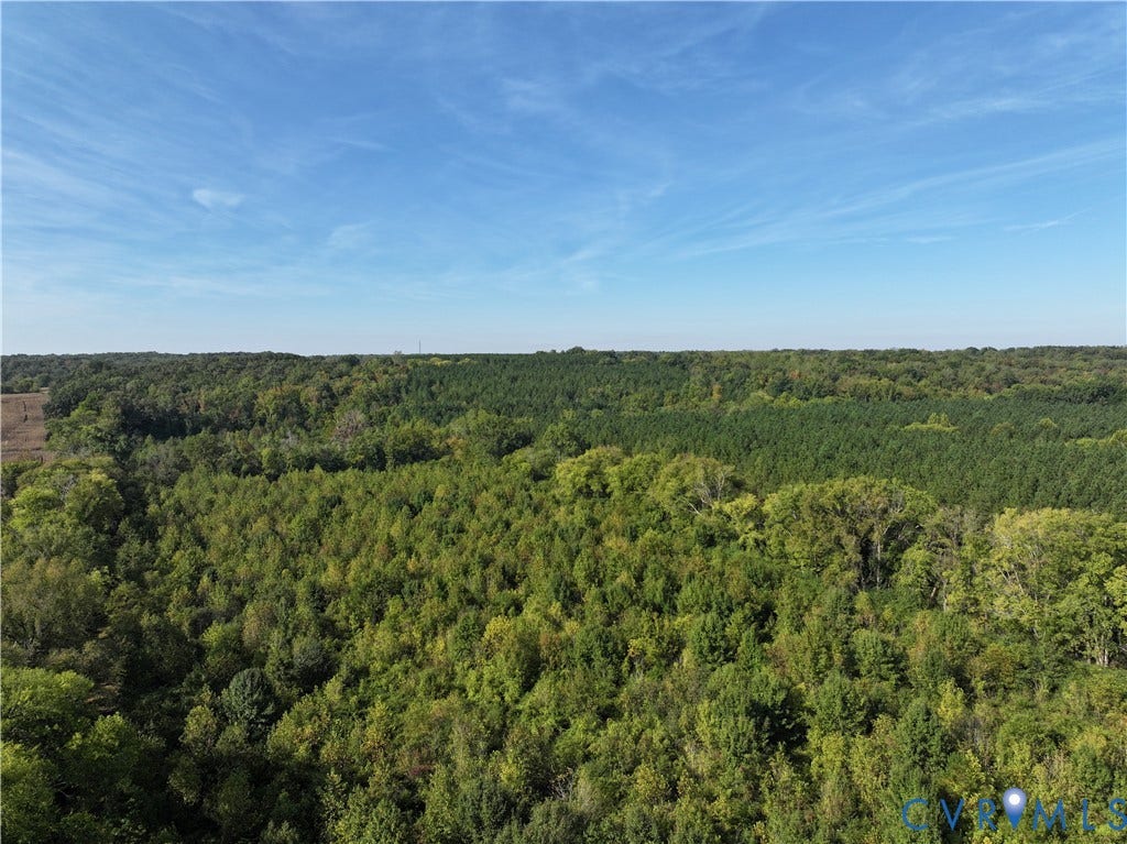 0 Old River Trail, Powhatan, VA 23139 Expansive acreage featuring dense woodland coverage and mature timber