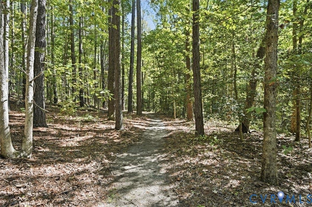 11401 Pinhook Road, Rockville, VA 23146 Wooded Trials