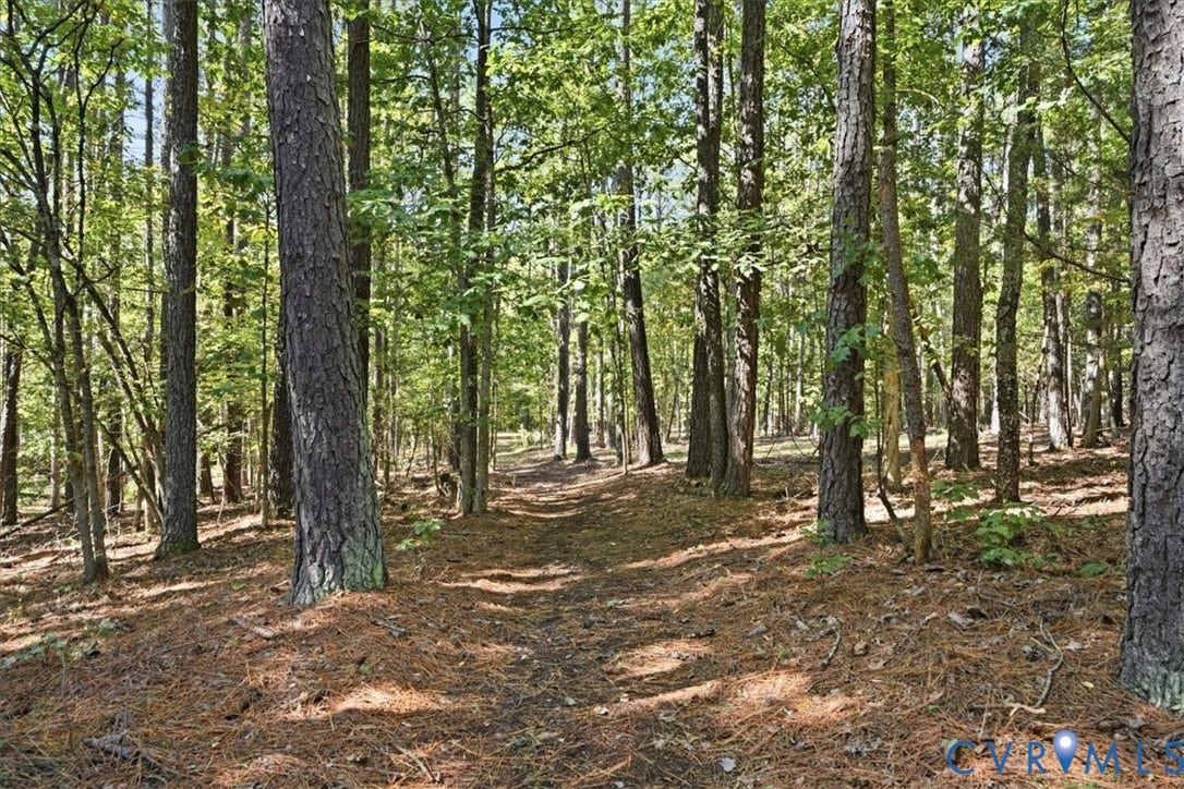11401 Pinhook Road, Rockville, VA 23146 Wooded Trails