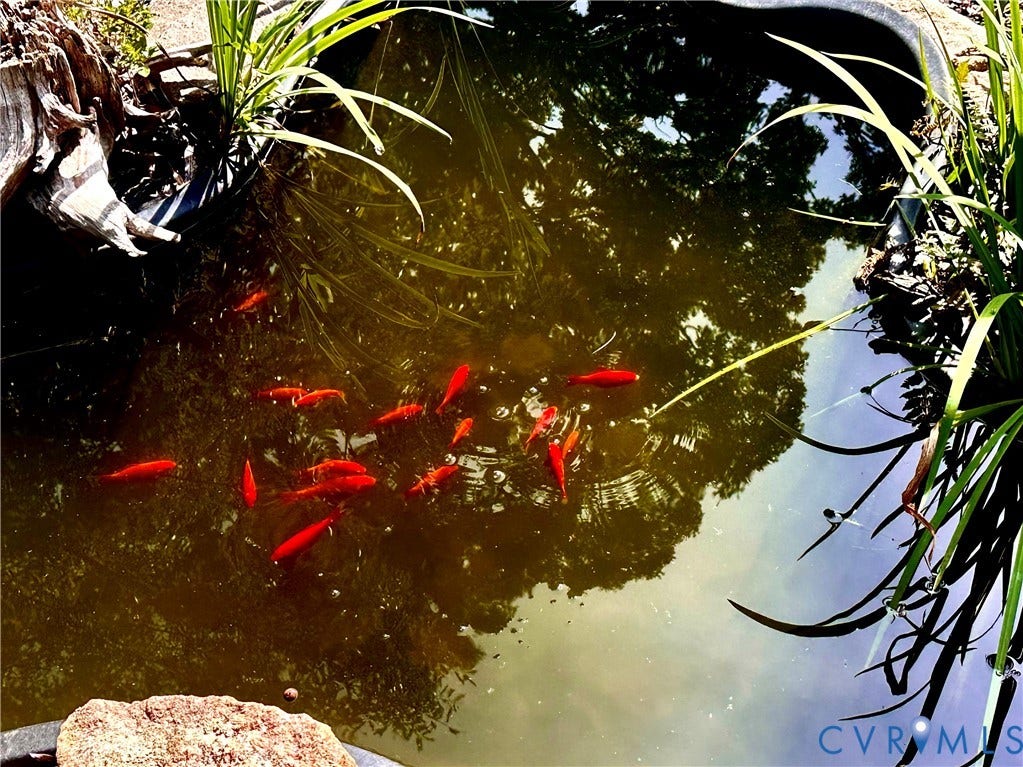 25400 SAYLERS CREEK ROAD, Deatonville, Jetersville, VA 23083 Hardscaped garden pond featuring stone edging and integrated aquatic vegetation