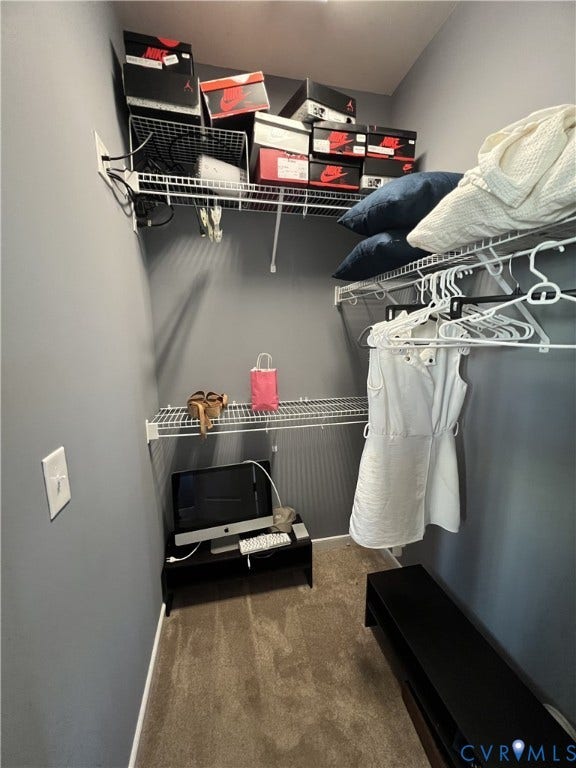 2310 Liesfeld Parkway, West Broad Village, Henrico, VA 23060 Storage space featuring neutral wall paint, carpeted flooring, and white wire shelving