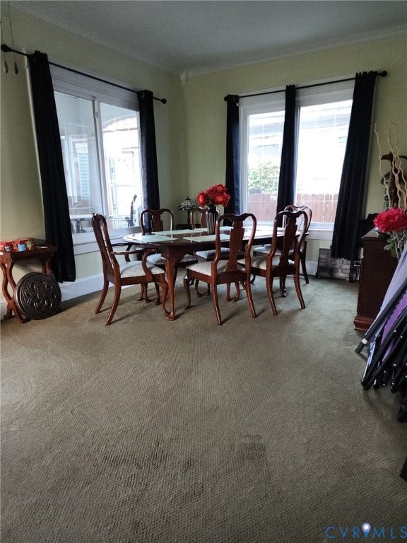 115 Katherine Street, Kings Borough, Suffolk, VA 23434 Dining area featuring wall-to-wall carpeting, crown molding, and two sets of expansive windows with horizontal blinds