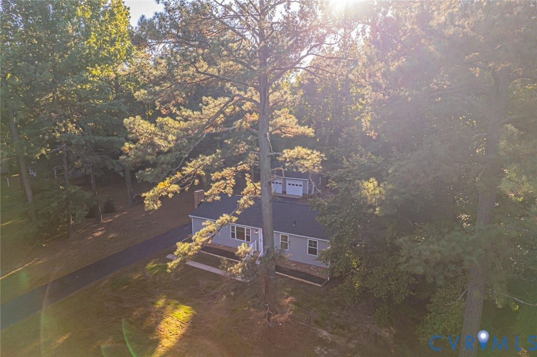 Detached property featuring an asphalt-shingled roof, paved driveway, mature pine trees, and a separate two-car garage structure