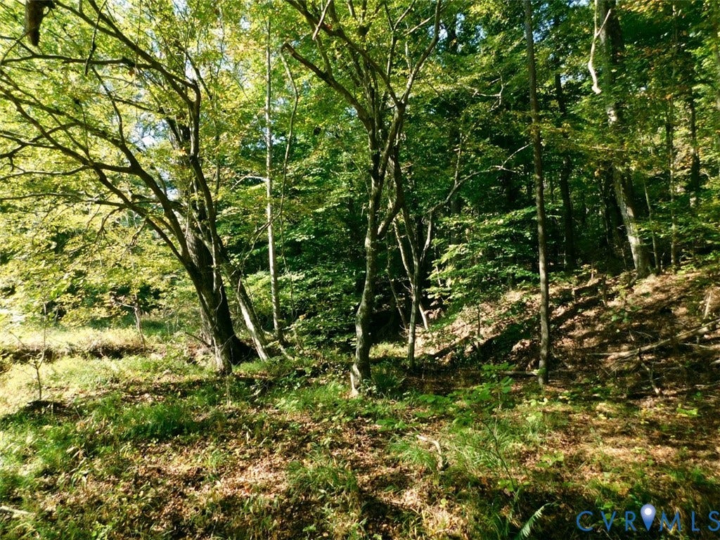 2515 Jerico Road, Buckingham, Buckingham, VA 23921