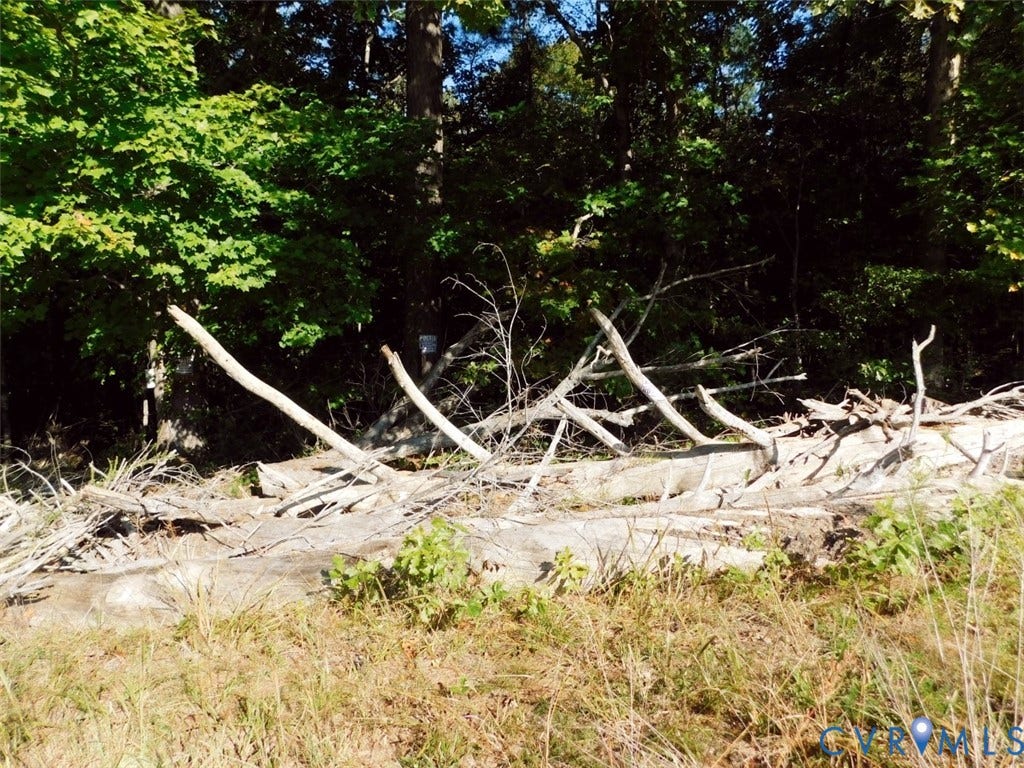 2515 Jerico Road, Buckingham, Buckingham, VA 23921