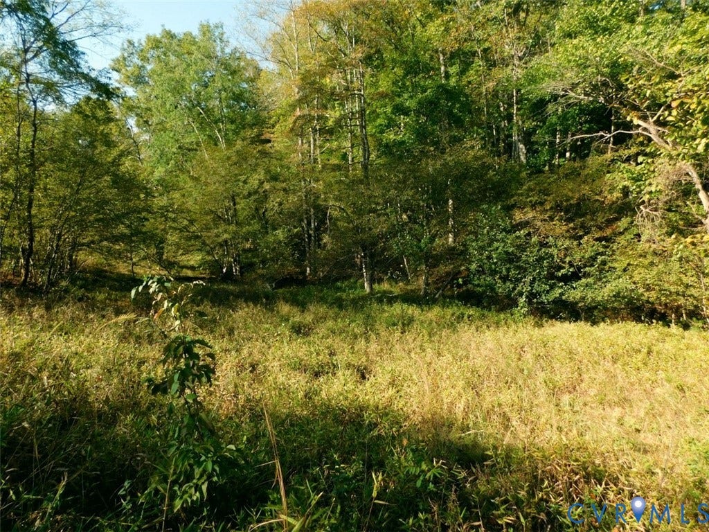 2515 Jerico Road, Buckingham, Buckingham, VA 23921
