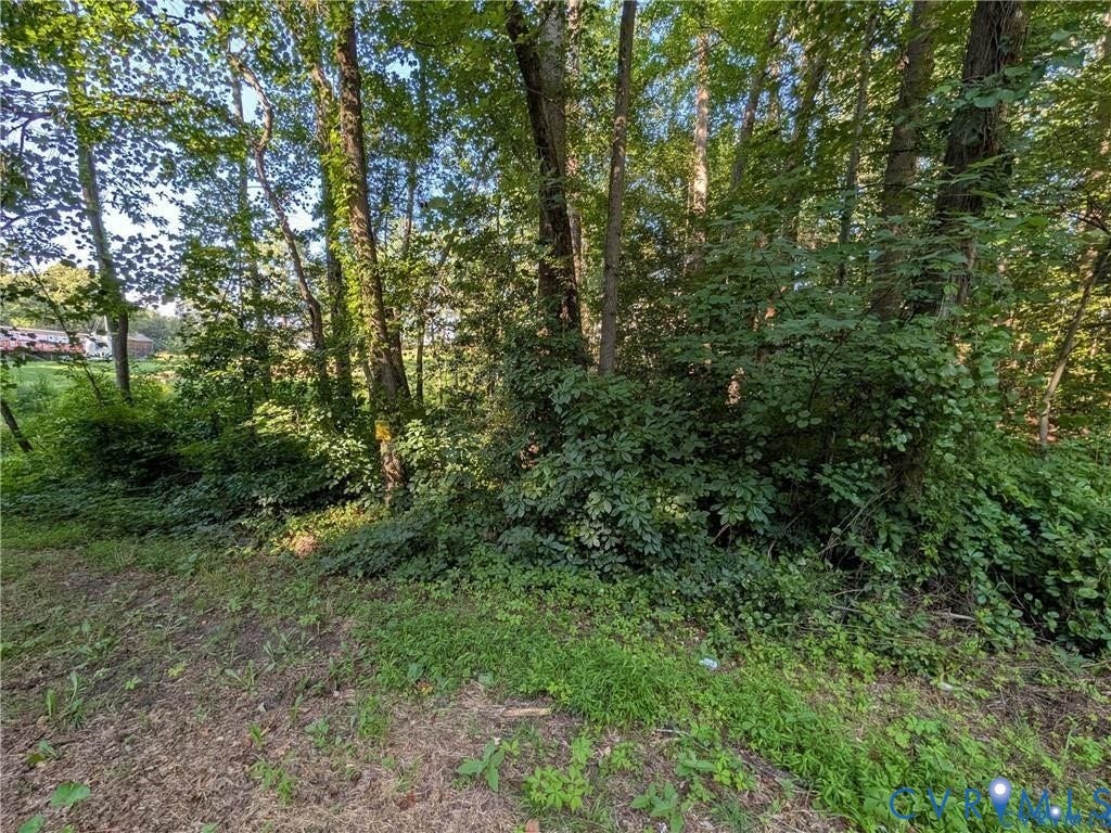 11625 Oak Road, Shields Property, Chester, VA 23831 Wooded lot.