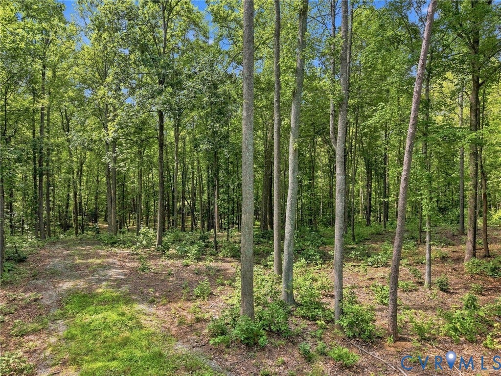 15295 Beaver Dam Road, Montpelier Woods, Montpelier, VA 23192 15295 Beaver Dam Road, Montpelier Woods, Montpelier, VA 23192