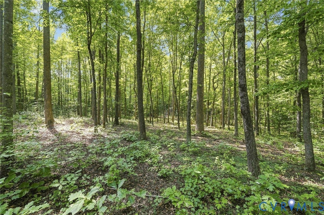15295 Beaver Dam Road, Montpelier Woods, Montpelier, VA 23192 15295 Beaver Dam Road, Montpelier Woods, Montpelier, VA 23192
