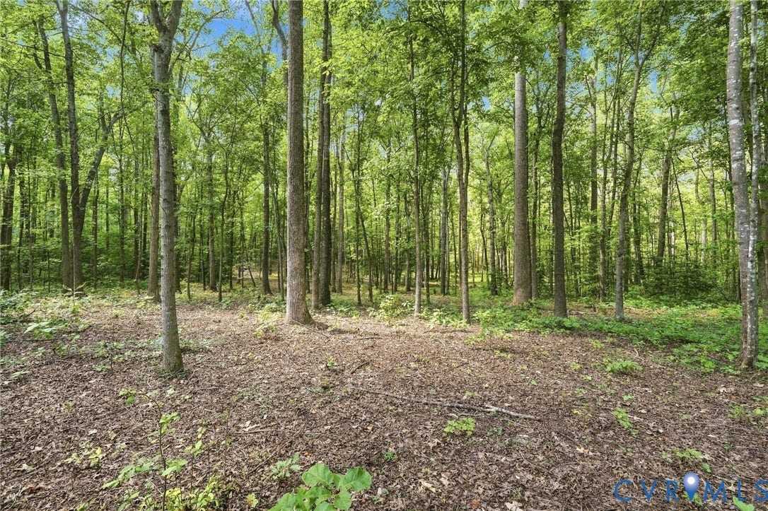 15295 Beaver Dam Road, Montpelier Woods, Montpelier, VA 23192 15295 Beaver Dam Road, Montpelier Woods, Montpelier, VA 23192