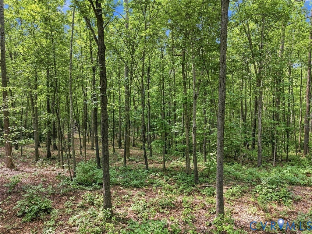 15295 Beaver Dam Road, Montpelier Woods, Montpelier, VA 23192 15295 Beaver Dam Road, Montpelier Woods, Montpelier, VA 23192