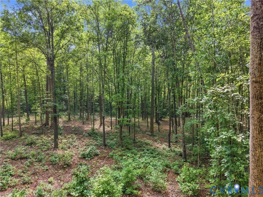 15295 Beaver Dam Road, Montpelier Woods, Montpelier, VA 23192 15295 Beaver Dam Road, Montpelier Woods, Montpelier, VA 23192