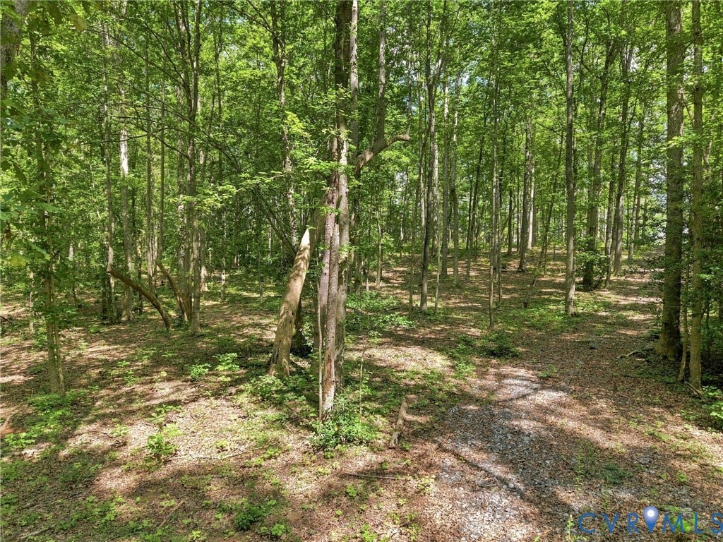15295 Beaver Dam Road, Montpelier Woods, Montpelier, VA 23192 15295 Beaver Dam Road, Montpelier Woods, Montpelier, VA 23192
