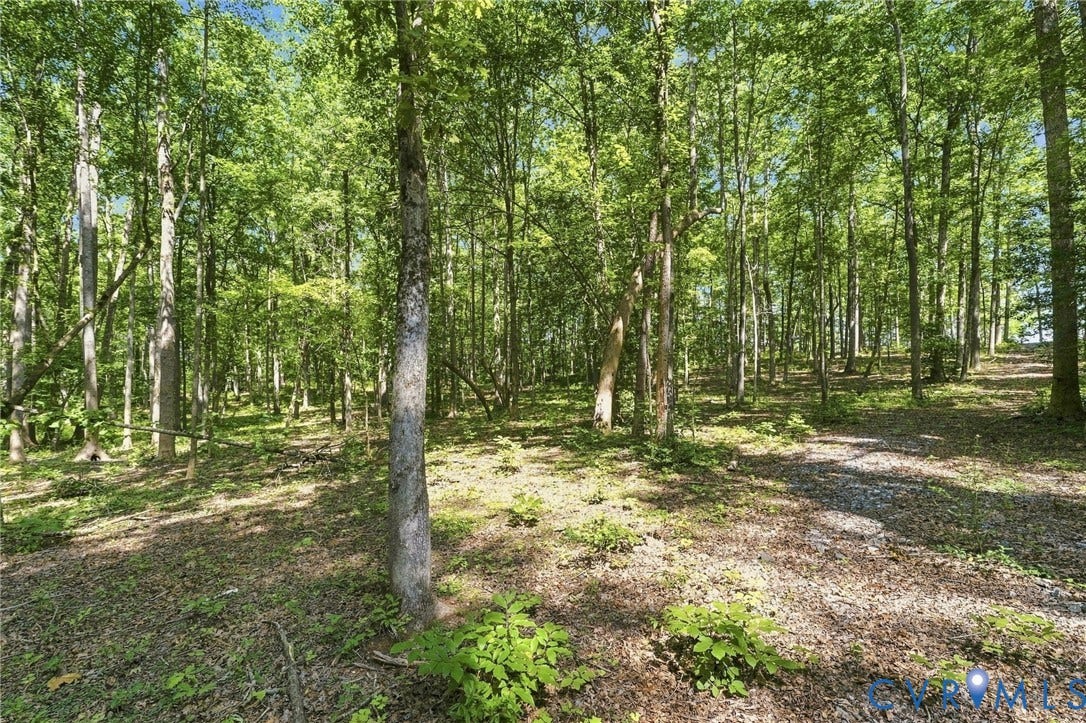 15295 Beaver Dam Road, Montpelier Woods, Montpelier, VA 23192 15295 Beaver Dam Road, Montpelier Woods, Montpelier, VA 23192