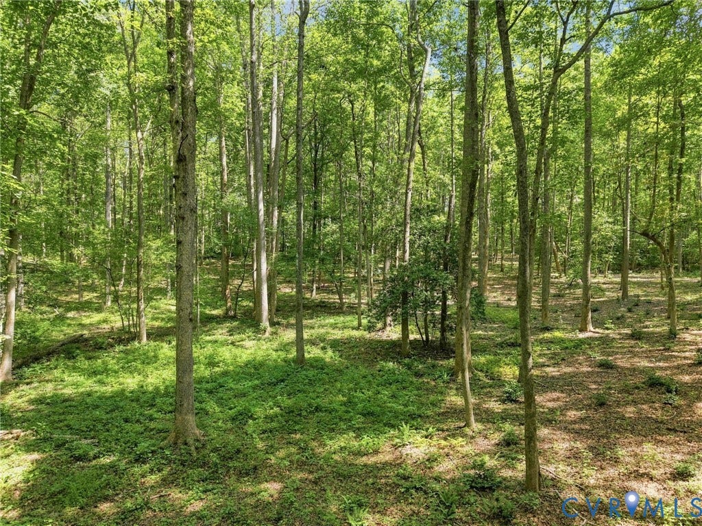 15295 Beaver Dam Road, Montpelier Woods, Montpelier, VA 23192 15295 Beaver Dam Road, Montpelier Woods, Montpelier, VA 23192