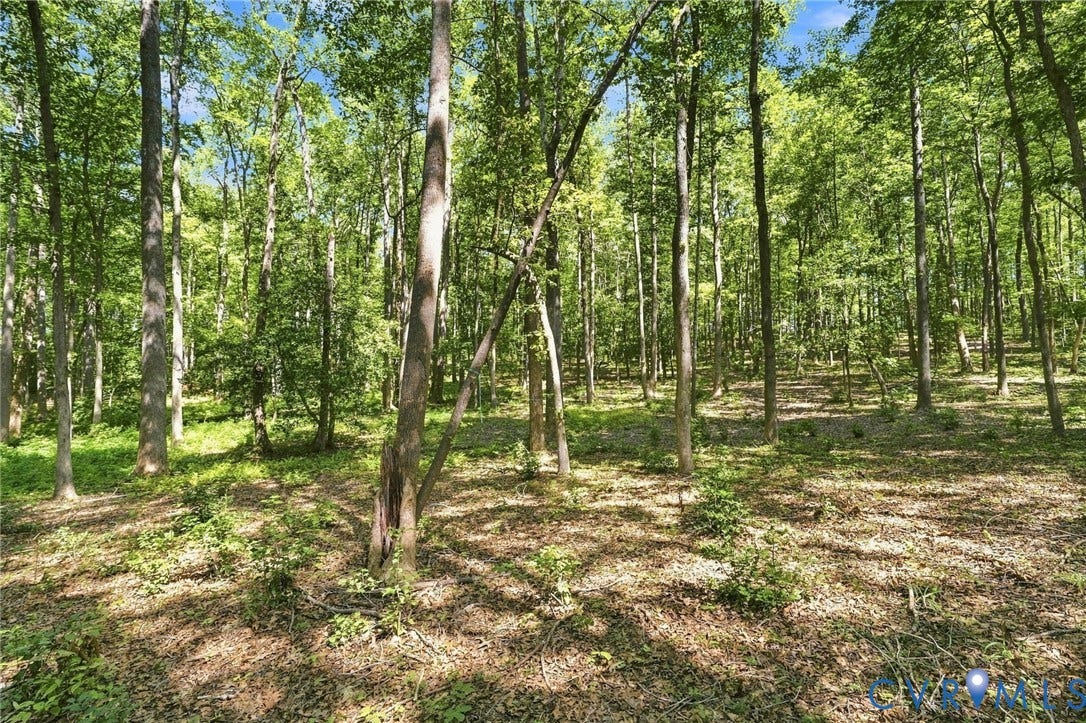 15295 Beaver Dam Road, Montpelier Woods, Montpelier, VA 23192 15295 Beaver Dam Road, Montpelier Woods, Montpelier, VA 23192