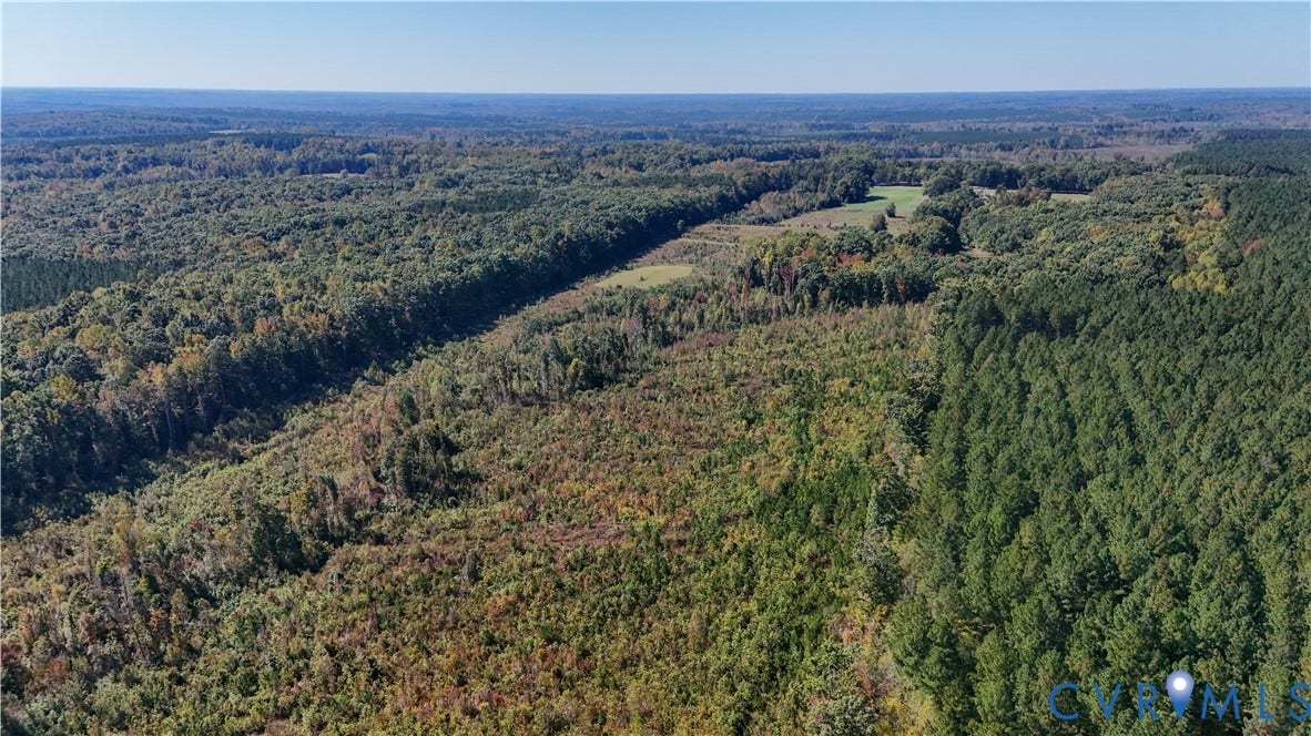 6502 Nutbush Road, Rural Countryside, Lunenburg, VA 23942 Expansive acreage featuring dense woodland, cleared pasture segments, mature pine timber, and varied topography