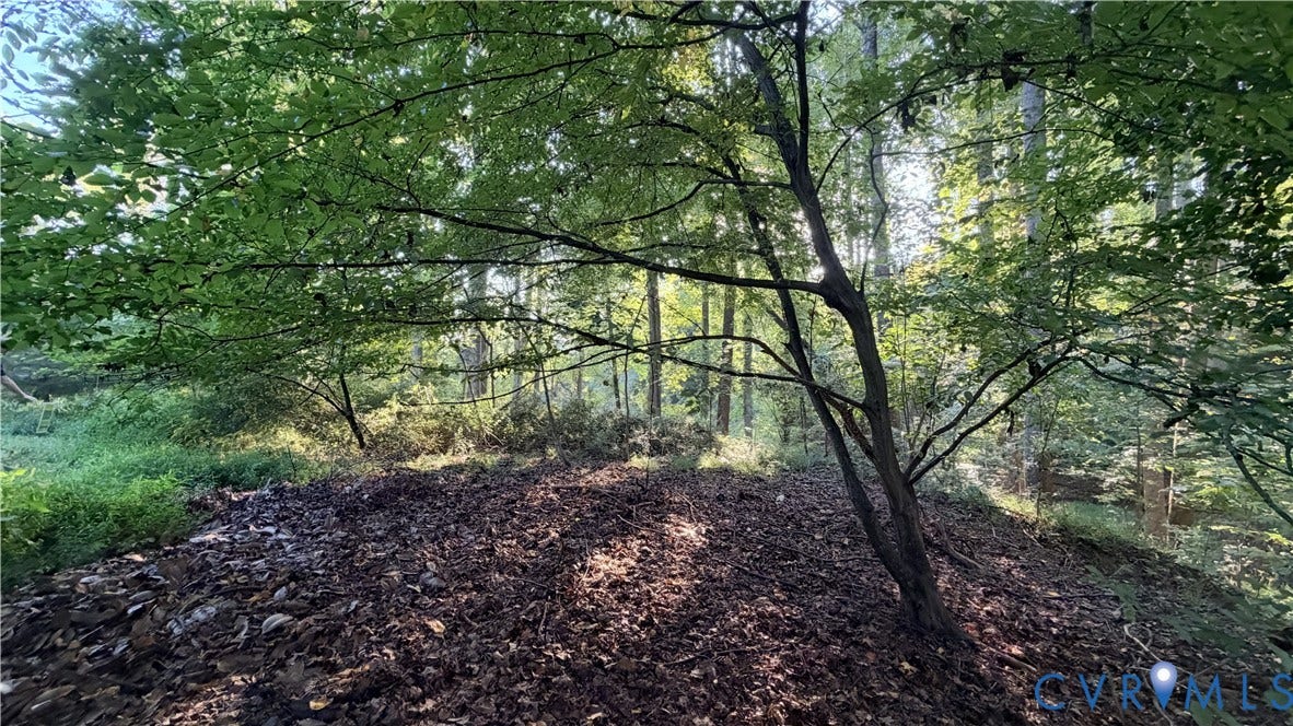 18428 Cedar Drive, Cedar Dr, Triangle, VA 22172 Wooded lot featuring mature trees and natural landscape
