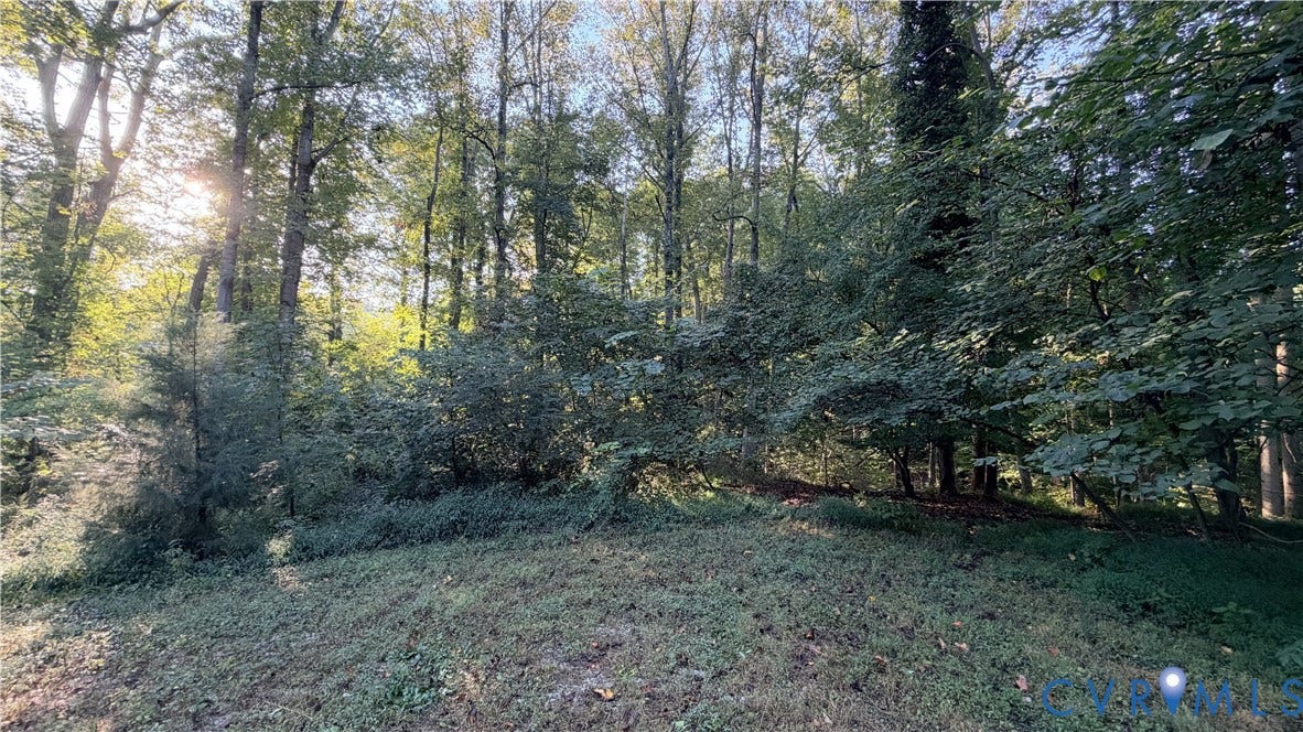 18428 Cedar Drive, Cedar Dr, Triangle, VA 22172 Wooded parcel featuring mature deciduous trees and natural landscape