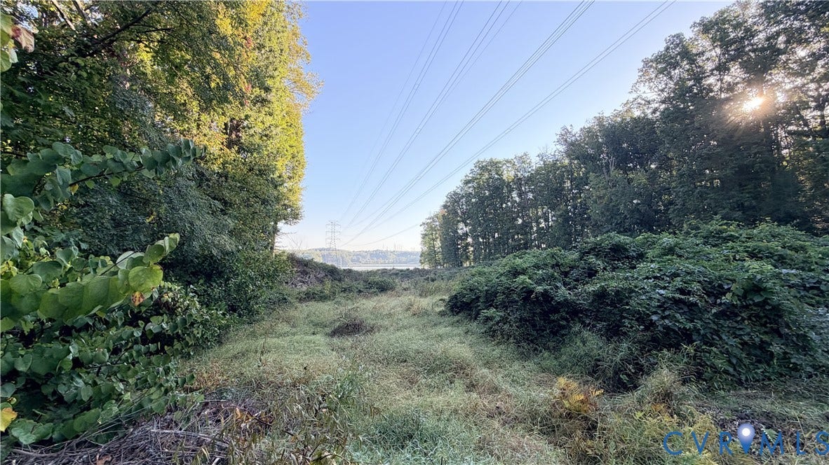 Expansive lot featuring mature trees and natural ground cover