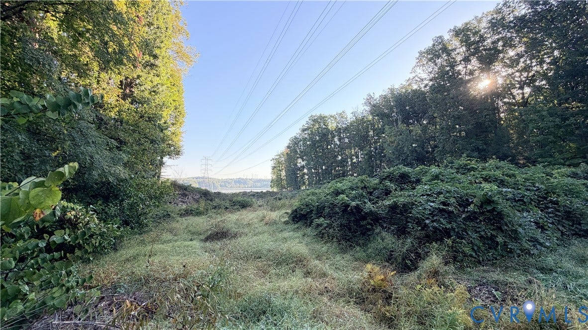 Expansive lot featuring mature trees and established natural vegetation