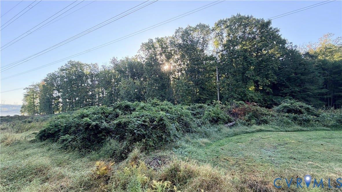 Expansive lot featuring mature trees, natural vegetation, and open grassy terrain