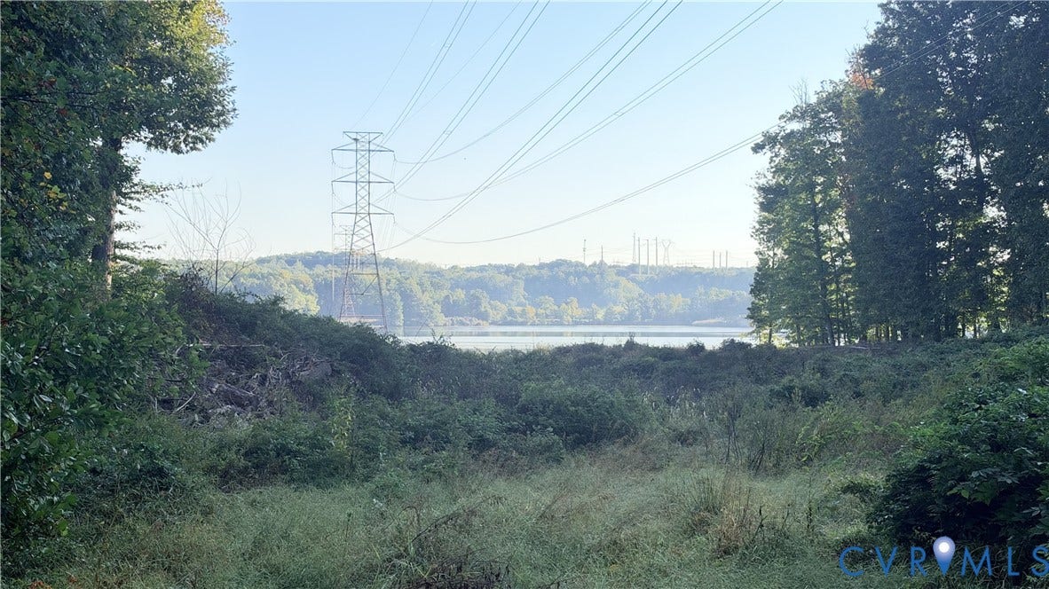 Natural landscape featuring mature trees, native vegetation, and water frontage