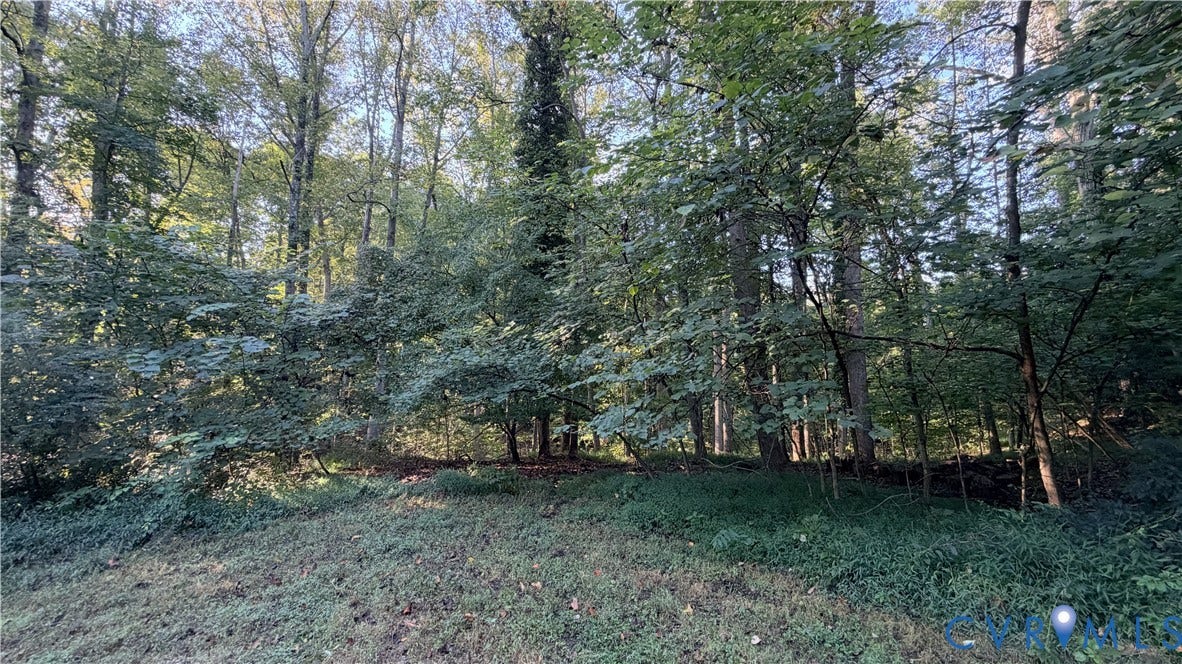 18426 Cedar Drive, Cedar Drive, Triangle, VA 22172 Wooded grounds featuring mature trees and established natural vegetation