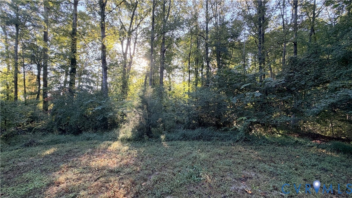 18426 Cedar Drive, Cedar Drive, Triangle, VA 22172 Wooded lot featuring mature deciduous trees and natural landscaping