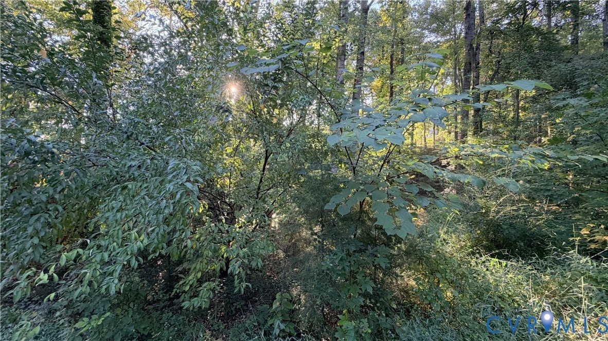 18426 Cedar Drive, Cedar Drive, Triangle, VA 22172 Wooded lot featuring mature trees and established natural vegetation