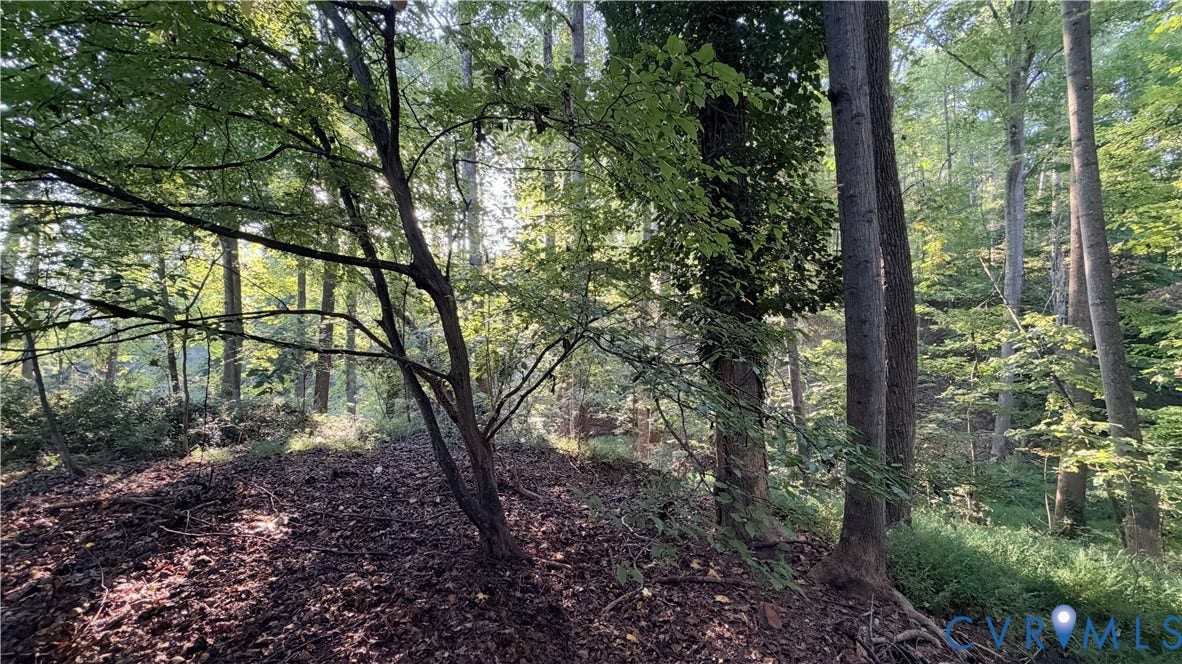 18426 Cedar Drive, Cedar Drive, Triangle, VA 22172 Wooded grounds featuring mature trees and a natural topography