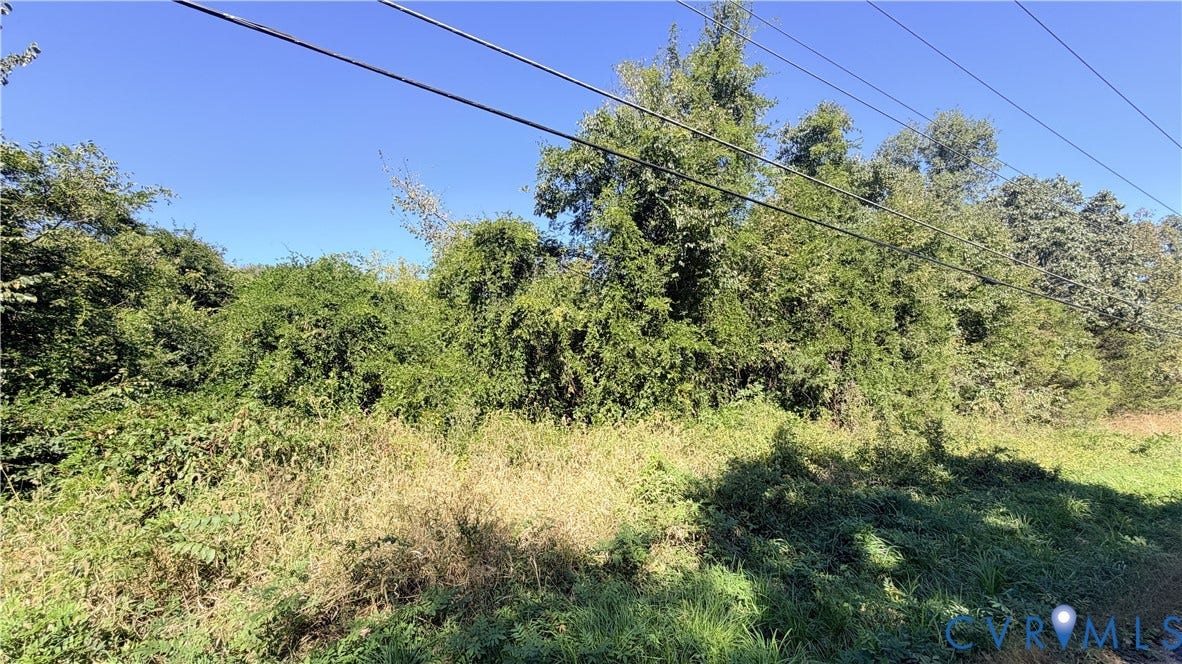 13200 Farmview Road, Farmveiw Rd, Triangle, VA 20181 Undeveloped parcel featuring mature trees and established natural vegetation