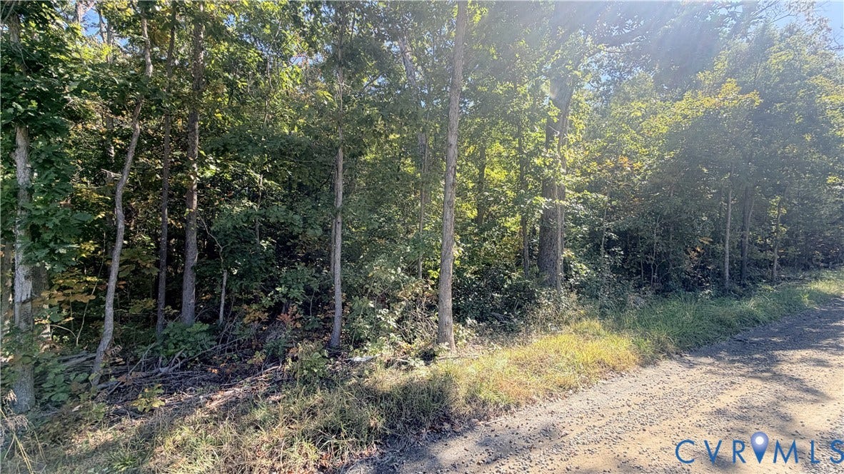 16106 Thoroughfare Road, Thoroughfare Rd, Broad Run, VA 20137 Wooded landscape featuring dense mature trees and native ground cover