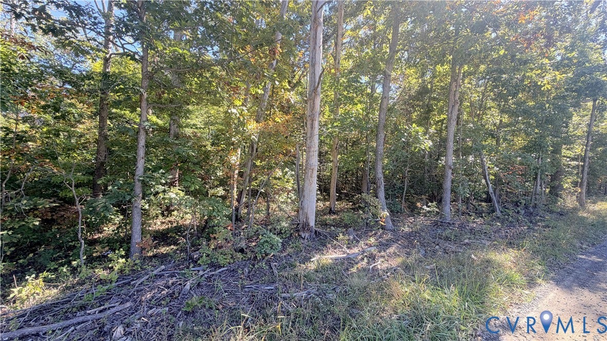 16106 Thoroughfare Road, Thoroughfare Rd, Broad Run, VA 20137 Wooded terrain featuring mature trees and established natural vegetation