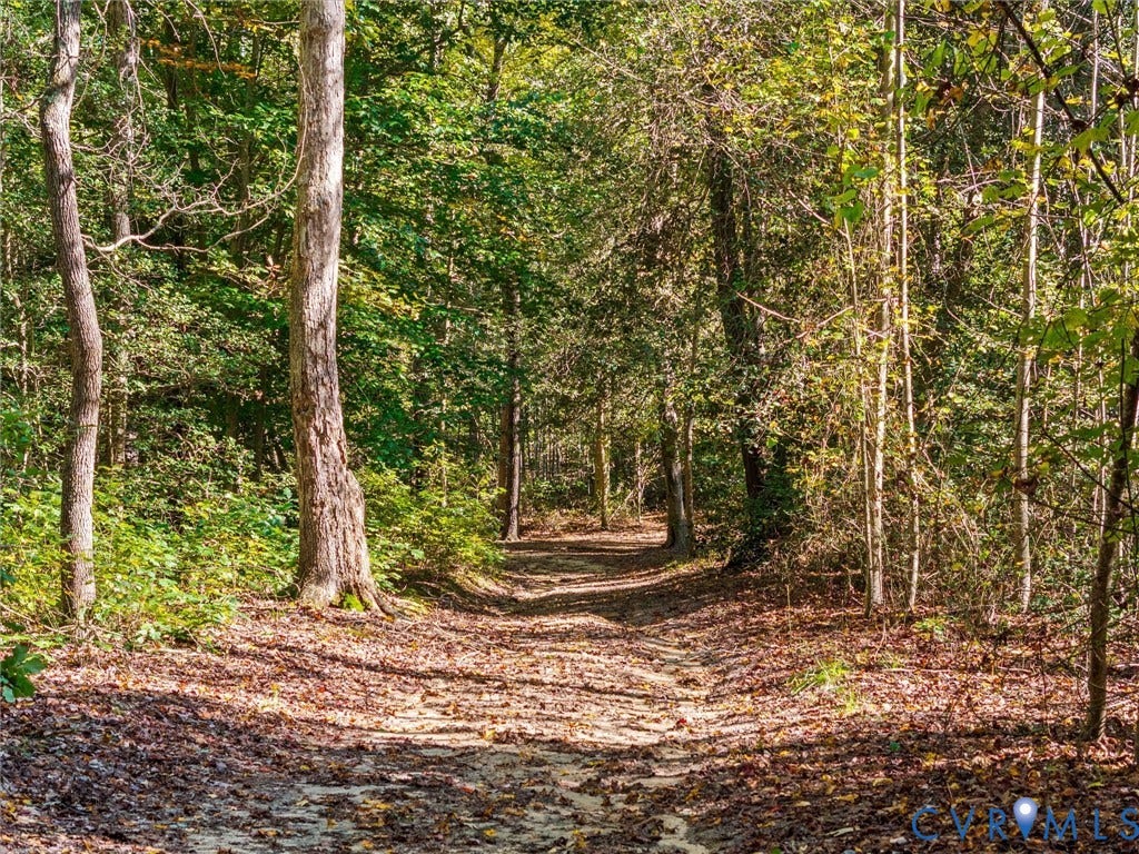 9877 Swinging Bridge Road, Taylors Grove Estates, Quinton, VA 23141 Discover the peaceful beauty of nature along the well-maintained riding and walking trails that wind through the property's mature woodlands. Enjoy a relaxing horseback ride beneath the canopy of towering trees, explore the scenic surroundings, or simply escape into the tranquility of your own private country retreat!