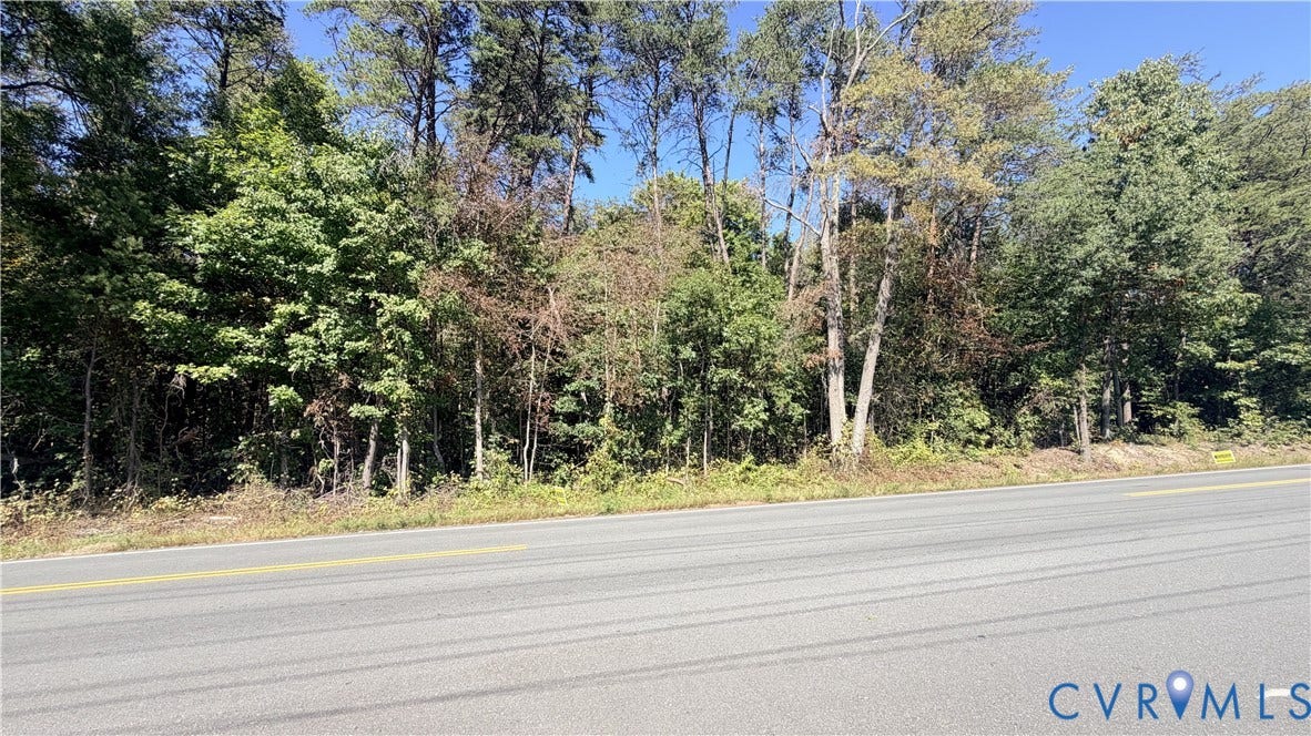 Wooded lot featuring mature trees and established natural vegetation