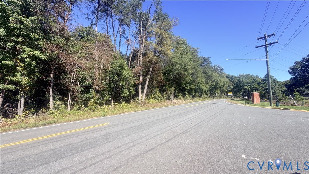 Paved asphalt roadway lined with mature, established trees