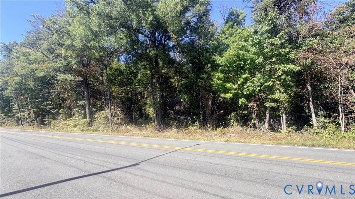 Wooded lot featuring mature trees and established natural vegetation
