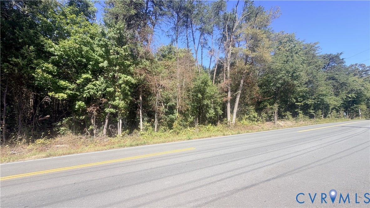 Wooded acreage featuring mature trees and established natural vegetation