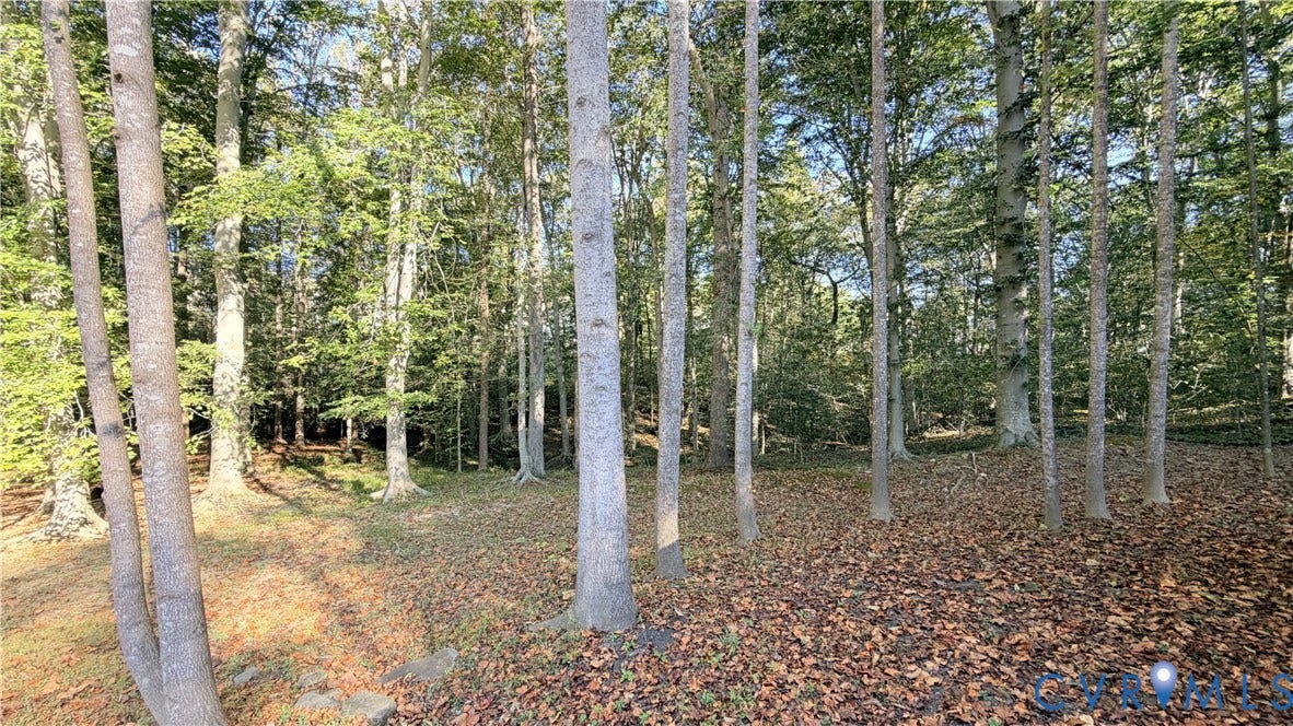 12707 Gold Cup Trail, Gold Cup, Manassas, VA 20112 Wooded grounds featuring mature trees and a natural leaf-covered terrain