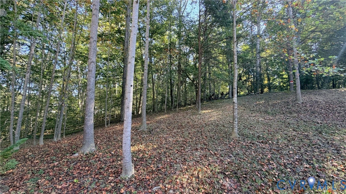12707 Gold Cup Trail, Gold Cup, Manassas, VA 20112 Wooded acreage featuring mature trees and sloping topography