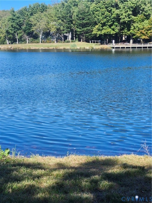 12400 New Point Drive, Wilde Lake, Henrico, VA 23233 Waterfront property featuring a private lake, mature trees, and a wooden dock
